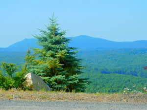 Virginia Blue Ridge Mountains