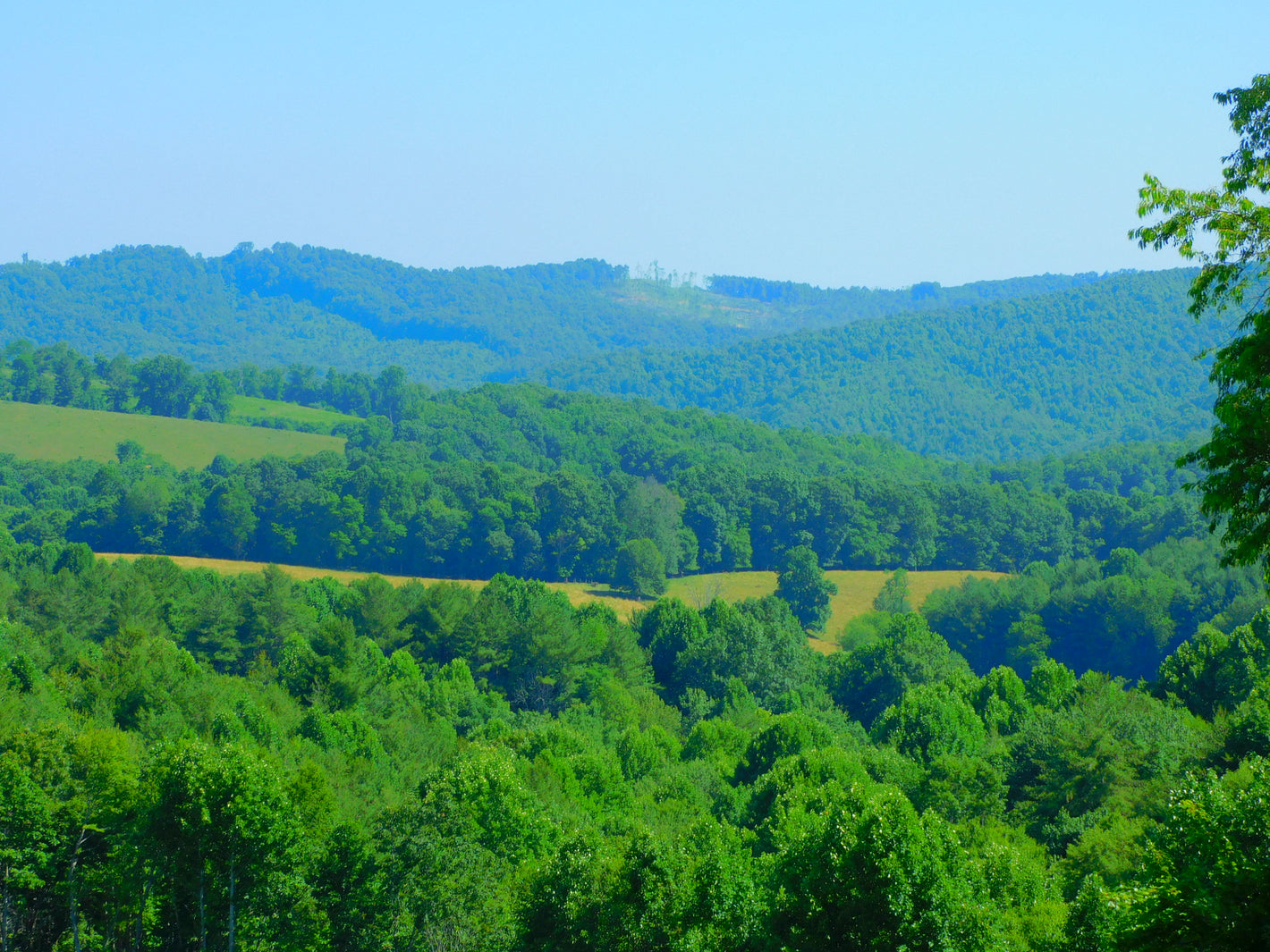 Blue Ridge Mountains (Virginia)