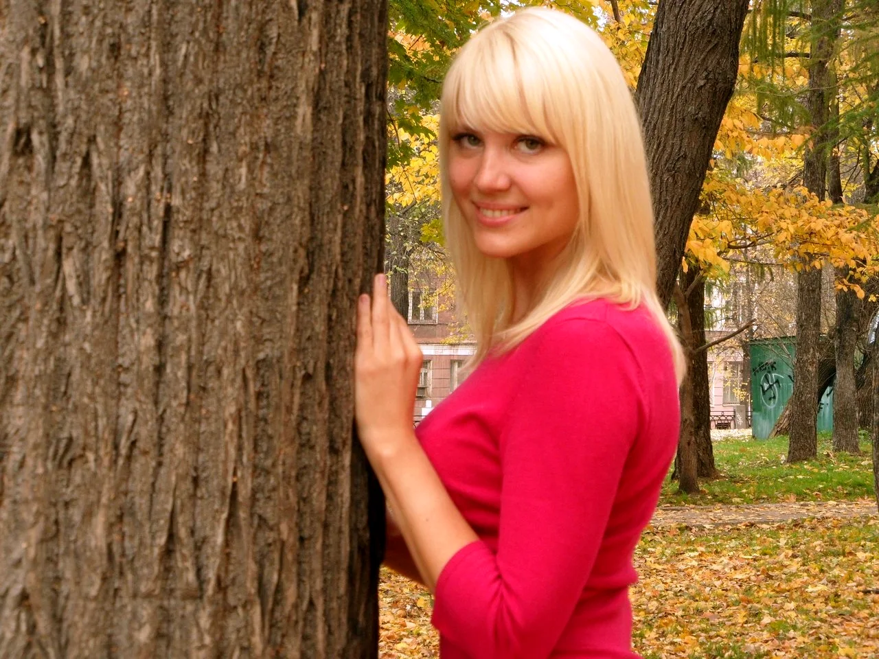 Шевченко Елена Викторовна Сыктывкар