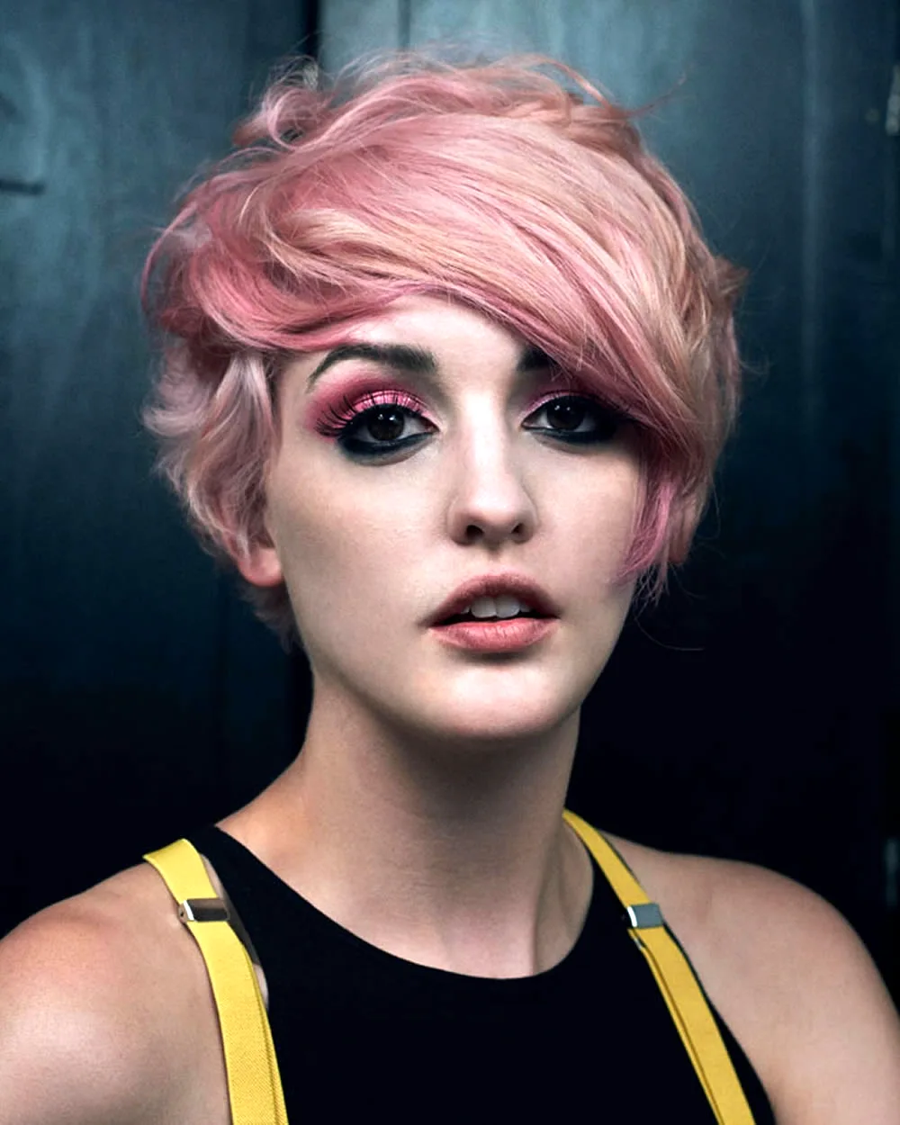 Pixie Bob