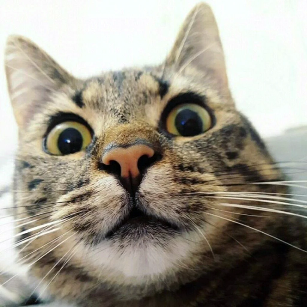 Смешной